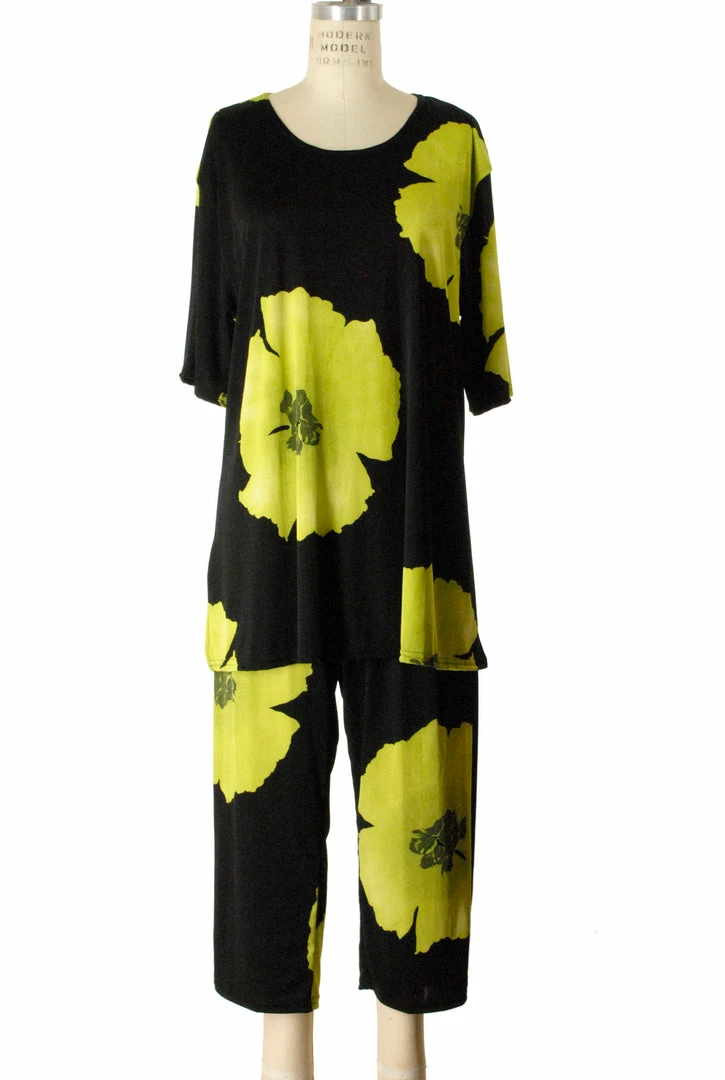 Jostar Women's Stretchy Capri Pants Set Short Sleeve Plus Print, 903BN-SXP-W113 Plus Size